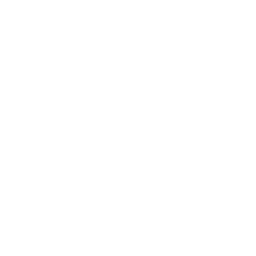 Wireframe_Texture.png